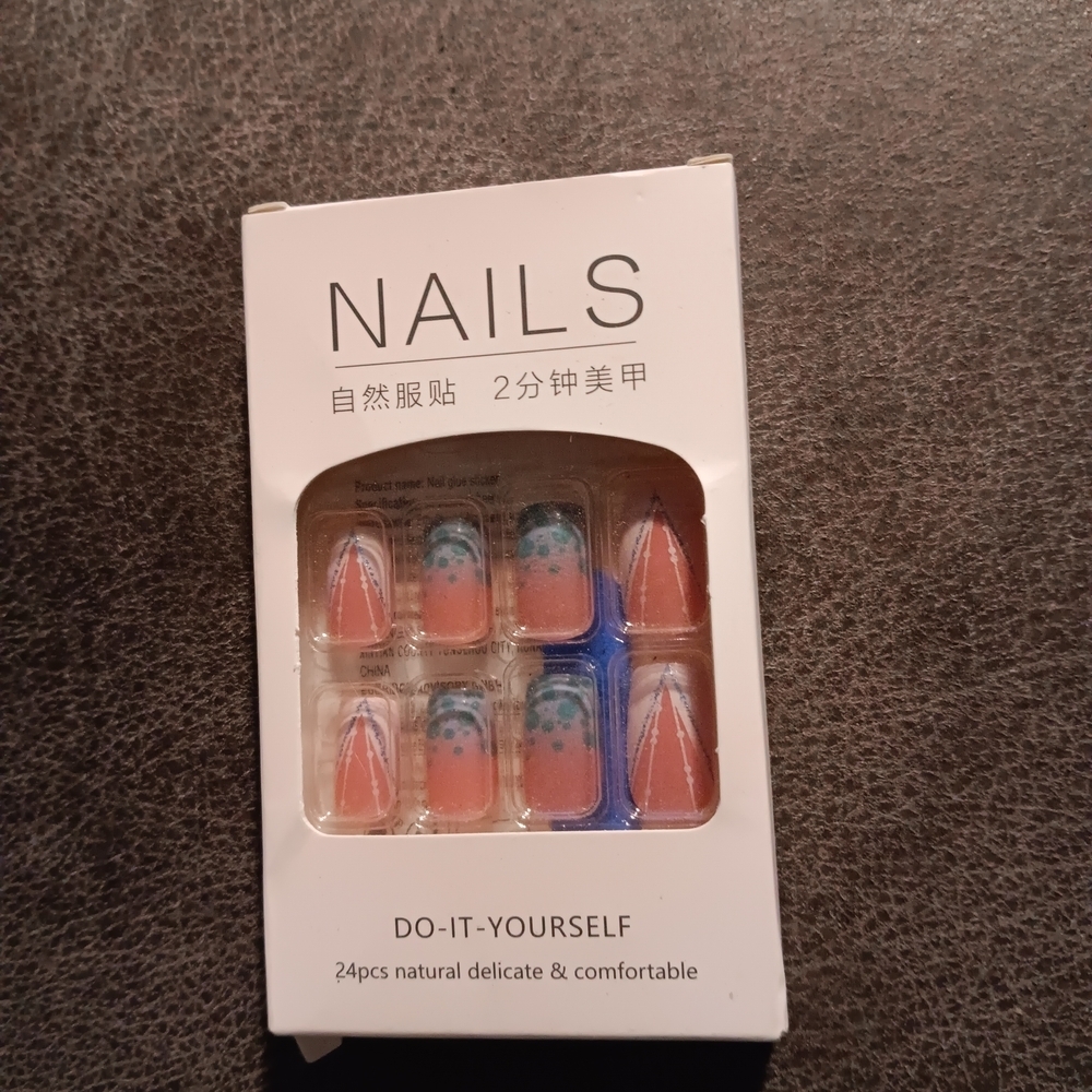 DIY Nail Art Set with Blue and Pink Designs